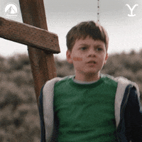 Look At It Paramount Network GIF by Yellowstone