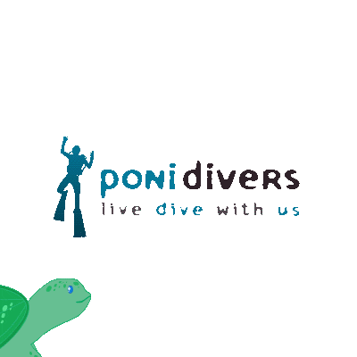 Sea Ocean Sticker by ponidivers