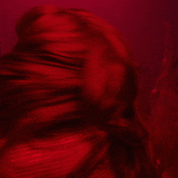 200.gif?cid=fc005b08eae49fd9f5d185d4d55e424230c82976c367eaa4&rid=200.gif&ct=g