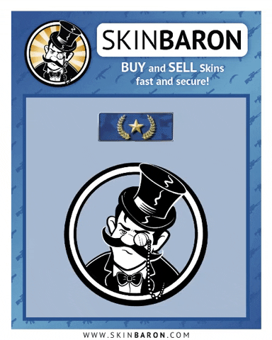SB_DE skin baron skinbaron GIF