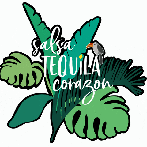 Costa Rica Corazon GIF by zartmintdesign