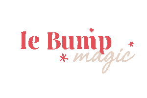 leBump Sticker