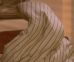 Season 3 Friends Tv Show GIF by Friends