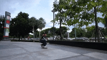 Skate Skateboarding GIF by Preduce Skateboards