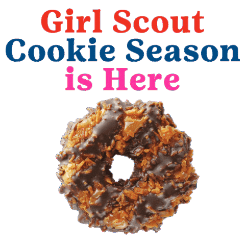 Cookies Thinmints Sticker by Little Brownie Bakers