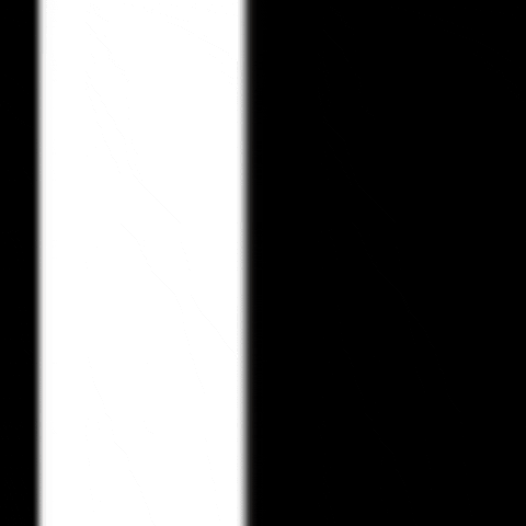 CrossFit Thribo GIF