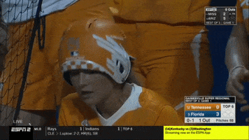 softball tennessee GIF by NCAA Championships