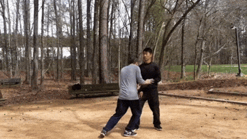 Taichi GIF