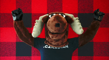 200.gif?cid=fc005b0807d8d92b69bd403586ab8a8bfa12b897846a4821&rid=200.gif&ct=g