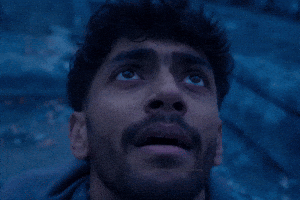 Pariey GIF