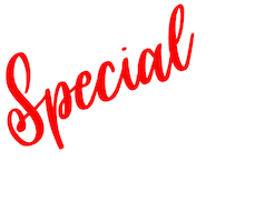 Special Edition Sticker