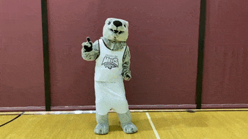 Wolf Pack Dancing GIF by Cardinal Stritch University
