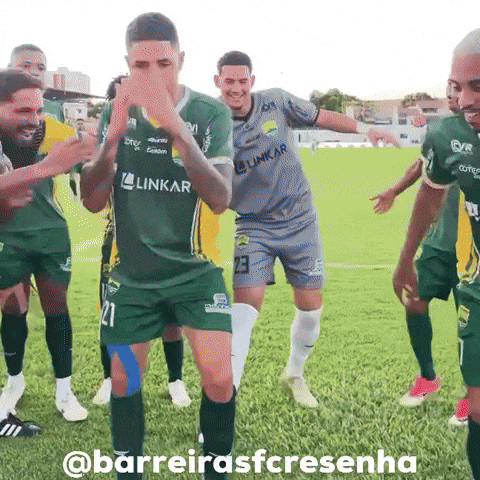 Barreirasfcresenha GIF