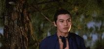martial arts smiling GIF by Shaw Brothers