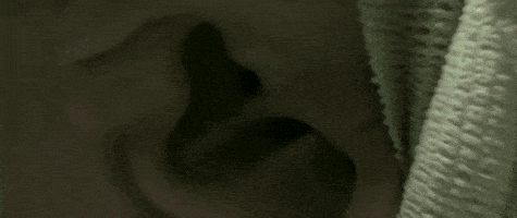 Hard Rock GIF by I Prevail