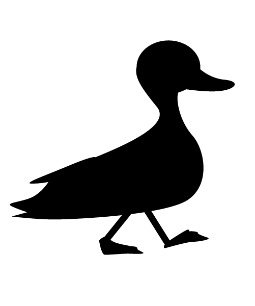 Bird Sticker