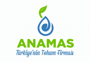 Anamas Tohum GIF
