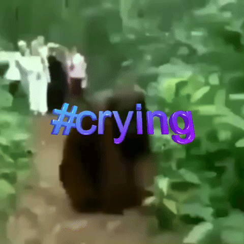Crying GIF