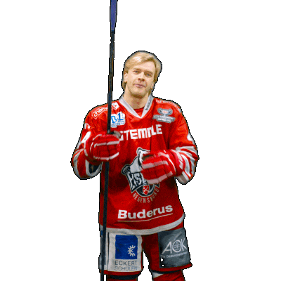 Hockey Del2 Sticker by Eisbären Regensburg