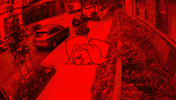 Security Camera Installation GIF