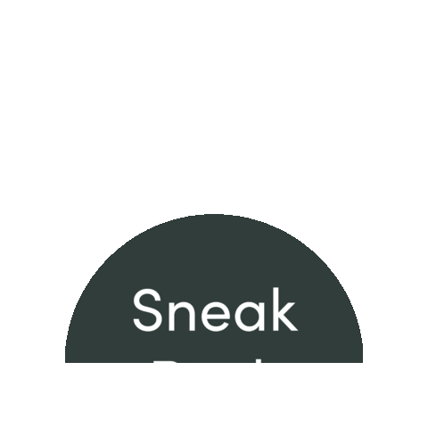 Mishons Estate Agents Sticker