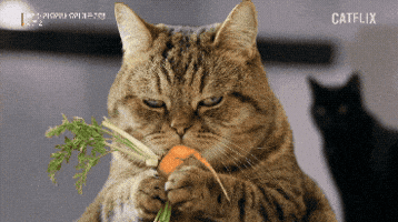 흑백논리요리사 GIF