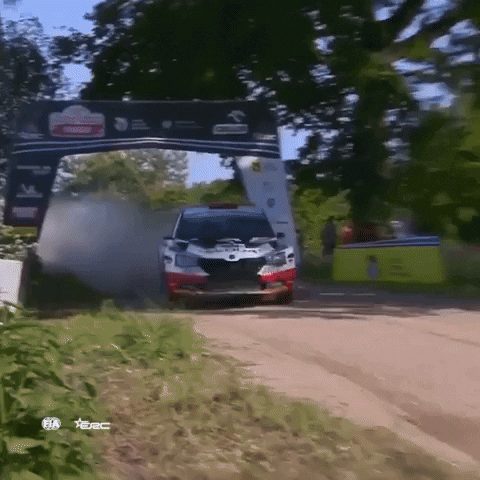 On My Way What GIF by FIA European Rally Championship