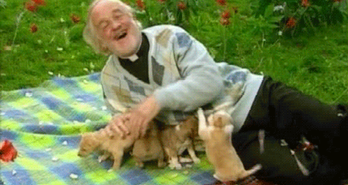 https://media4.giphy.com/media/JDpWEk2y7rOGQ/giphy.gif