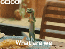 What Are We Doing GIF by GEICO