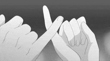 software product GIF