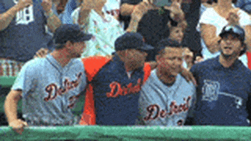 detroit tigers baseball GIF by MLB
