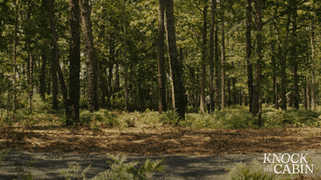 Horror Spring GIF by Knock At The Cabin