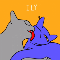 Love Cats Gifs Get The Best Gif On Giphy Love Cats Gifs Get The Best Gif On Giphy