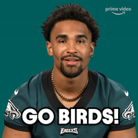 Superbowl-eagles GIFs - Get the best GIF on GIPHY