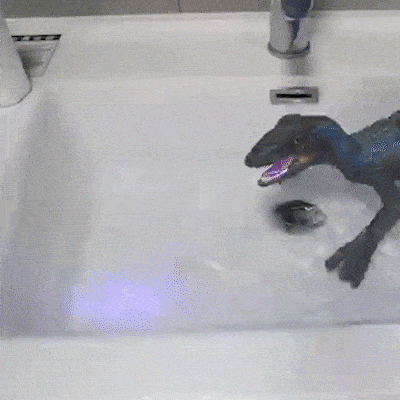 Animated GIF