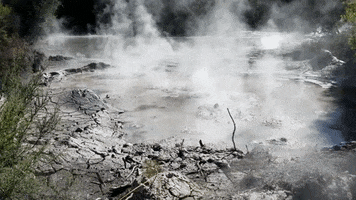 New Zealand GIF