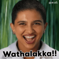 Sani GIF