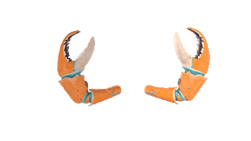 Superchillfoundation Sticker