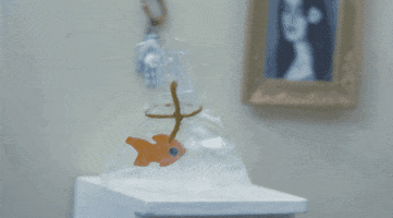 200.gif?cid=fc005b08bbeb826fc7f7b562d28cf3121d3ea251a81b07f9&rid=200.gif&ct=g