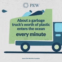 Worldoceansday Gifs Get The Best Gif On Giphy Worldoceansday Gifs Get The Best Gif On Giphy