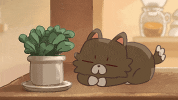 Flower Cats GIF by Ai and Aiko
