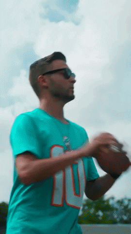 Miami Dolphins Football GIF by Veza Sur Brewing Co