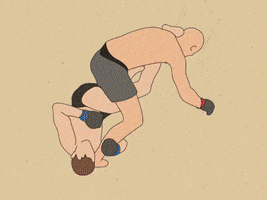 Grappling Mixed Martial Arts GIF by Sonny Brown Breakdown