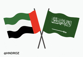 Saudi Arabia GIF