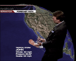 Weather GIF by hamlet