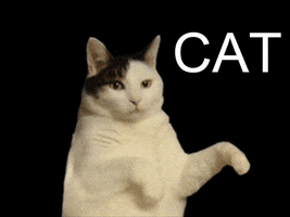 Dance GIF