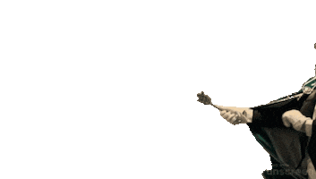 Stichting C.C. 't Aogje Sticker