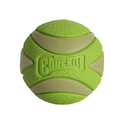 Chuckit! Sticker