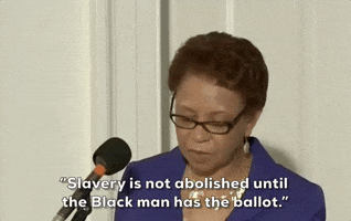 Voting Rights 13Th Amendment GIF by GIPHY News