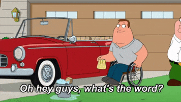 Family Guy Bird GIF by FOX TV